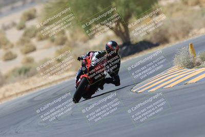 media/May-14-2023-SoCal Trackdays (Sun) [[024eb53b40]]/Turn 5 Tree of Life (1125am)/